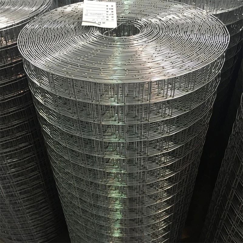 Filum Netting